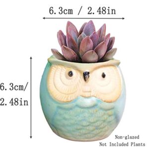 ROSE CREATE 6 Pcs 2.5 Inches Owl Pots, Little Ceramic Succulent Bonsai Pots with a Hole - Pack of 6