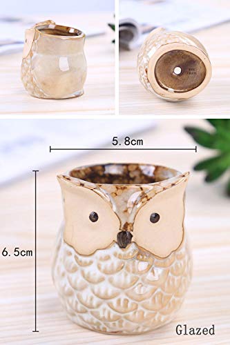 ROSE CREATE 6 Pcs 2.5 Inches Owl Pots, Little Ceramic Succulent Bonsai Pots with a Hole - Pack of 6