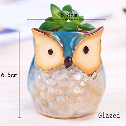 ROSE CREATE 6 Pcs 2.5 Inches Owl Pots, Little Ceramic Succulent Bonsai Pots with a Hole - Pack of 6