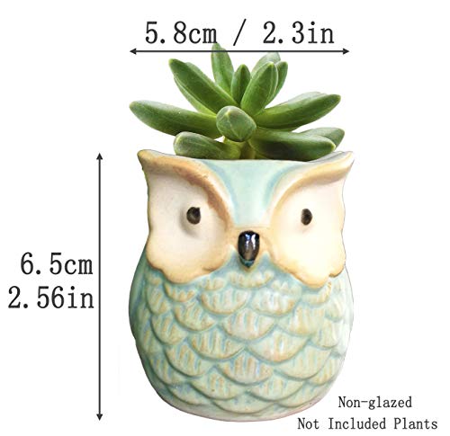 ROSE CREATE 6 Pcs 2.5 Inches Owl Pots, Little Ceramic Succulent Bonsai Pots with a Hole - Pack of 6