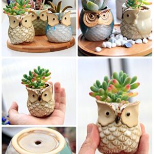 ROSE CREATE 6 Pcs 2.5 Inches Owl Pots, Little Ceramic Succulent Bonsai Pots with a Hole - Pack of 6