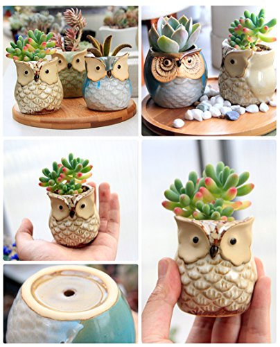 ROSE CREATE 6 Pcs 2.5 Inches Owl Pots, Little Ceramic Succulent Bonsai Pots with a Hole - Pack of 6