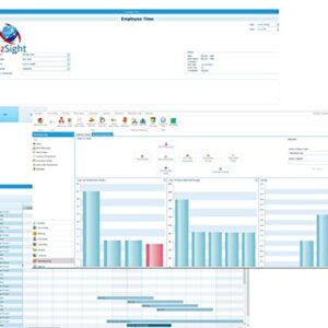 BizSight: Small Business Accounting Software