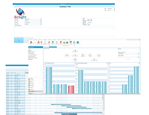 BizSight: Small Business Accounting Software