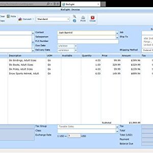 BizSight: Small Business Accounting Software