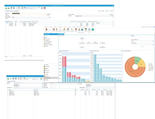 BizSight: Small Business Accounting Software