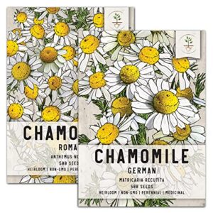 seed needs, chamomile seed packet collection (roman/german chamomile seeds for planting) heirloom, non-gmo & untreated