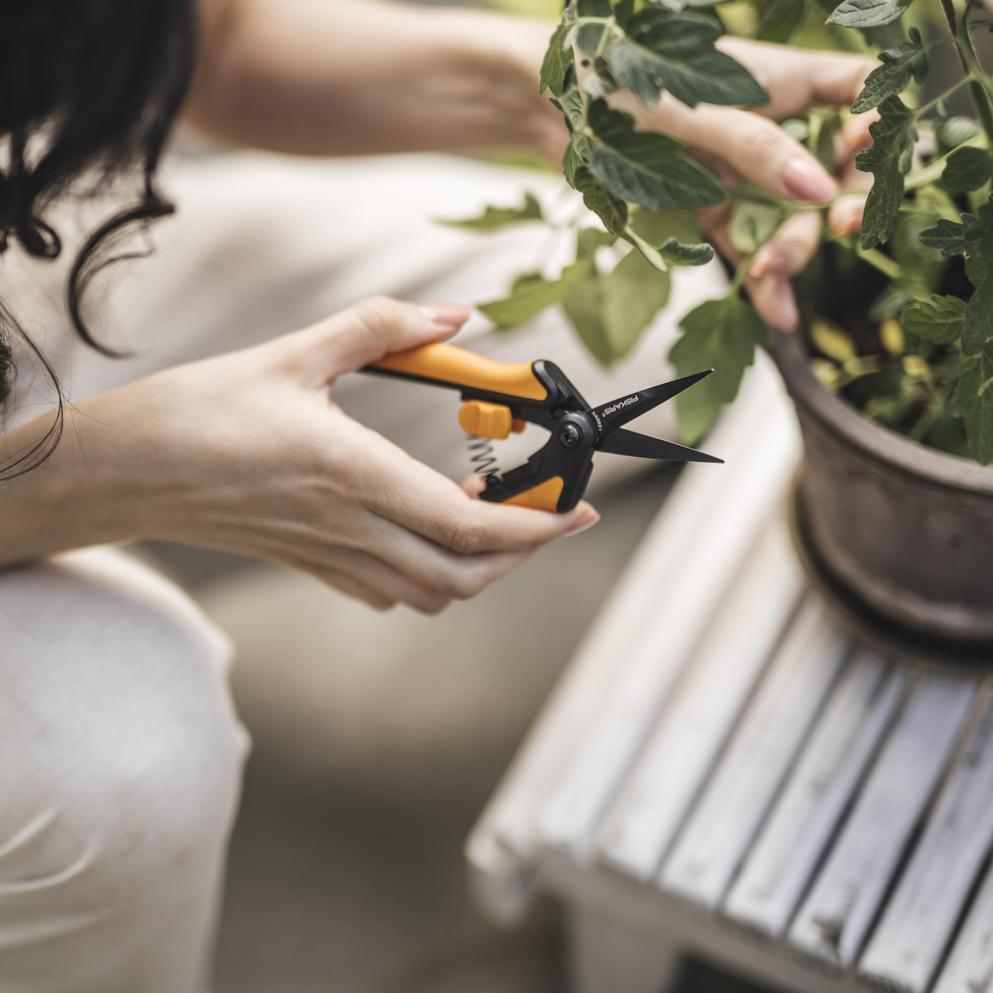 Fiskars Micro-Tip Pruning Snips - 6" Garden Shears with Sharp Precision-Ground Non-Stick Coated Stainless Steel Blade - Gardening Tool Scissors with SoftGrip Handle