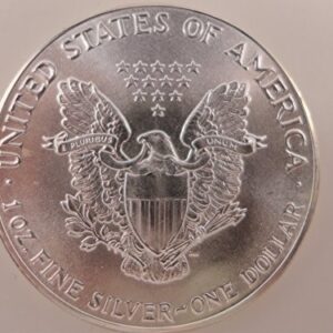 1986 American Eagle 1 oz. Silver Minor Spots/Toning First year of issue. Dollar Brilliant Uncirculated