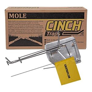 cinch mole trap with tunnel marking flag -heavy-duty, reusable trapping system | lawn, garden, and outdoor use | weather resistant steel (small - mole kit)
