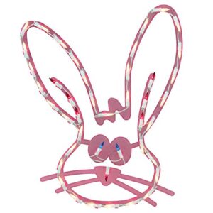 impact innovations ns lighted bunny face