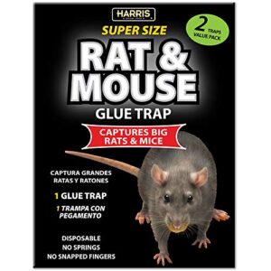 harris toughest rat glue trap (2/pack)