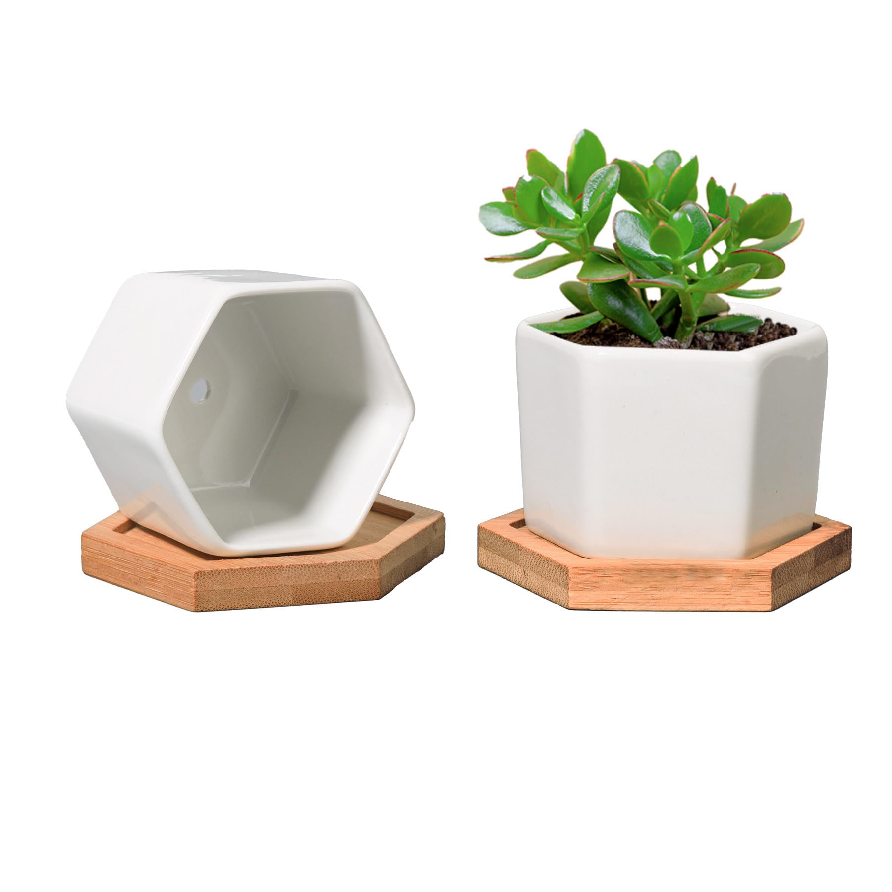 T4U Small White Succulent Planter Pots with Bamboo Tray Hexagon Set of 2, Geometric Cactus Plant Holder Container for Home Office Table Desk Decoration for Mom Aunt Sisiter Gardener