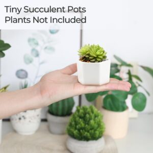 T4U Small White Succulent Planter Pots with Bamboo Tray Hexagon Set of 2, Geometric Cactus Plant Holder Container for Home Office Table Desk Decoration for Mom Aunt Sisiter Gardener