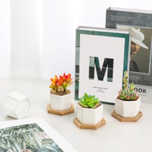 T4U Small White Succulent Planter Pots with Bamboo Tray Hexagon Set of 2, Geometric Cactus Plant Holder Container for Home Office Table Desk Decoration for Mom Aunt Sisiter Gardener