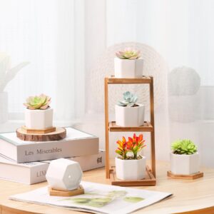 T4U Small White Succulent Planter Pots with Bamboo Tray Hexagon Set of 2, Geometric Cactus Plant Holder Container for Home Office Table Desk Decoration for Mom Aunt Sisiter Gardener