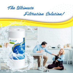 EXCELPURE Whole house Sediment Water Filter 10" x 4.5" (5 micron）Compatible with Culligan RFC-BBSA , WFHD13001B, GXWH35F, GXWH30C, 3M Aqua-Pure AP817,Whirlpool WHKF-GD25BB (2 PACK)
