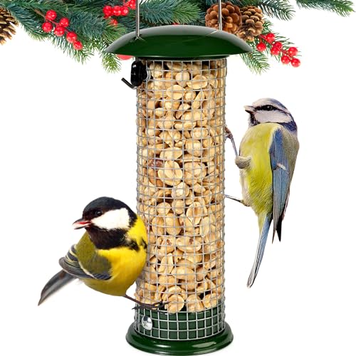 Premium Steel Sunflower Seed and Peanut Feeder, 9.5" Tall, Wild Bird Feeder for Woodpeckers, Titmice, Nuthatches, Chickadees, Jays and More, Gifts for Mom, for Women, Gifts for Dad