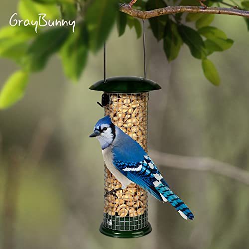 Premium Steel Sunflower Seed and Peanut Feeder, 9.5" Tall, Wild Bird Feeder for Woodpeckers, Titmice, Nuthatches, Chickadees, Jays and More, Gifts for Mom, for Women, Gifts for Dad