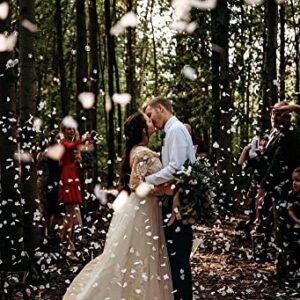 Heart Shaped Biodegradable Wedding Confetti - 10,000 pieces. Product of The USA.