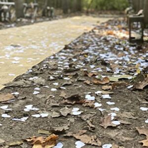 Heart Shaped Biodegradable Wedding Confetti - 10,000 pieces. Product of The USA.