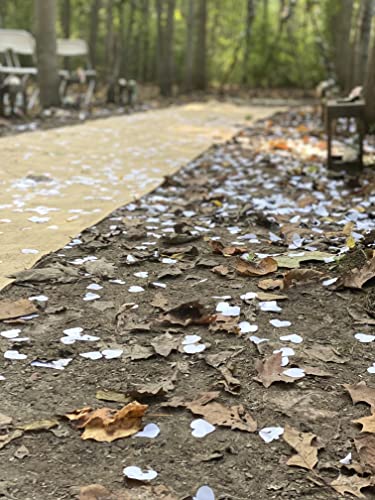 Heart Shaped Biodegradable Wedding Confetti - 10,000 pieces. Product of The USA.