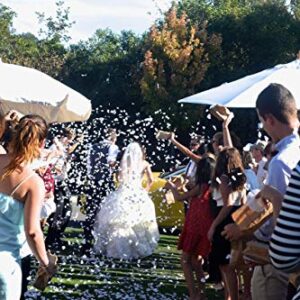 Heart Shaped Biodegradable Wedding Confetti - 10,000 pieces. Product of The USA.