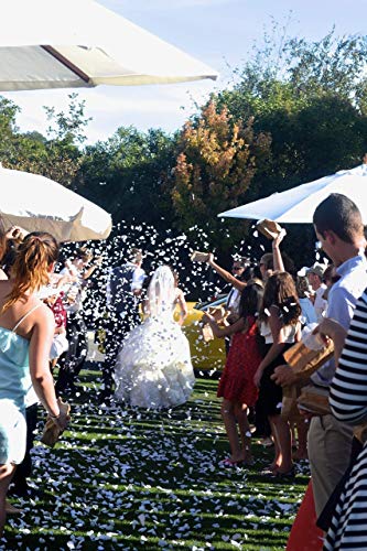 Heart Shaped Biodegradable Wedding Confetti - 10,000 pieces. Product of The USA.