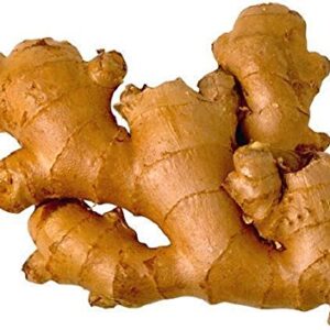 JAMAICAN GINGER - Zingiber officinale-Grow Your own,Grow Indoors or Outdoors(1 Pound)