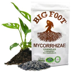 big foot granular organic (2 lb )mycorrhizae fungi inoculant with plant food nutrient ingredients for plant root growth, use for transplanting, 2 lbs