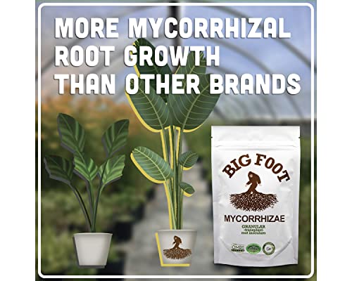 BIG FOOT GRANULAR Organic (2 lb )Mycorrhizae Fungi Inoculant with Plant Food Nutrient ingredients for Plant Root Growth, Use For Transplanting, 2 lbs