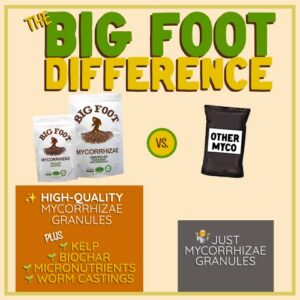 BIG FOOT GRANULAR Organic (2 lb )Mycorrhizae Fungi Inoculant with Plant Food Nutrient ingredients for Plant Root Growth, Use For Transplanting, 2 lbs