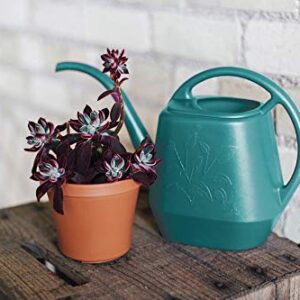 Bloem 100532979 AW21-31 56 oz Deep Sea Aqua Rite Watering Can, 1/2 Gal