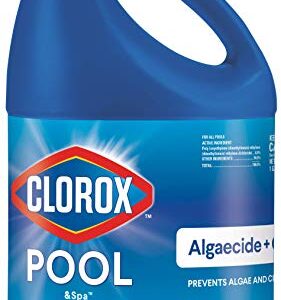 Clorox Pool&Spa 43128CLX 42128CLX Pool Algaecide