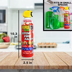 Fire Gone 5-in-1 Fire Extinguisher, Best Compact fire suppressant, for car, grease & electrical fires - PACK OF 2