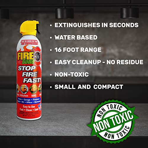 Fire Gone 5-in-1 Fire Extinguisher, Best Compact fire suppressant, for car, grease & electrical fires - PACK OF 2