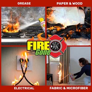 Fire Gone 5-in-1 Fire Extinguisher, Best Compact fire suppressant, for car, grease & electrical fires - PACK OF 2