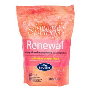 BioGuard Mineral Springs Renewal (4 lb) - Case of 6