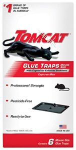 tomcat rat trap with immediate grip glue for rats, mice, snakes, cockroaches, spiders, and scorpions, ready-to-use, 6 count (pack of 12)