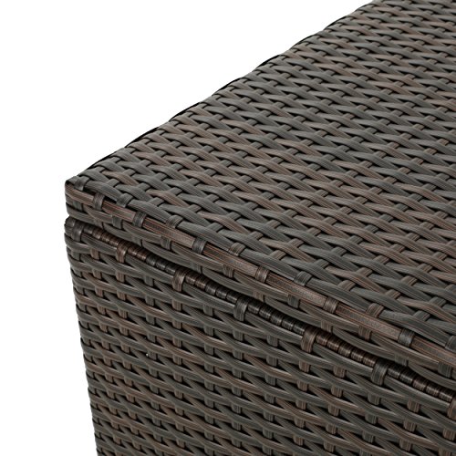 Christopher Knight Home Santa Rosa Wicker Storage Box, Multibrown