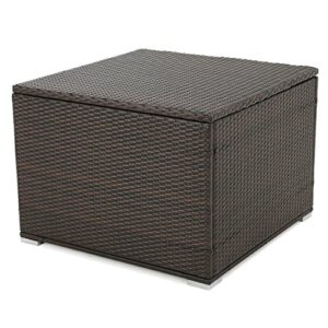 Christopher Knight Home Santa Rosa Wicker Storage Box, Multibrown