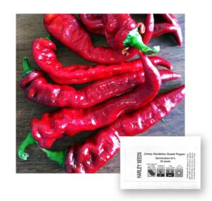 30+ italian jimmy nardello's sweet 12" long pepper seeds, heirloom non-gmo, prolific, juicy, delicious! from usa