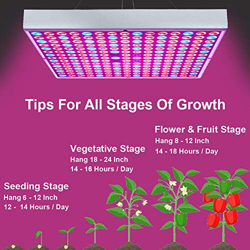 i-Venoya 75W LED Grow Light for Indoor Plants Growing Lamp 225 LEDs UV IR Red Blue Full Spectrum Plant Lights Bulb Panel for Hydroponics Greenhouse Seedling Veg and Flower