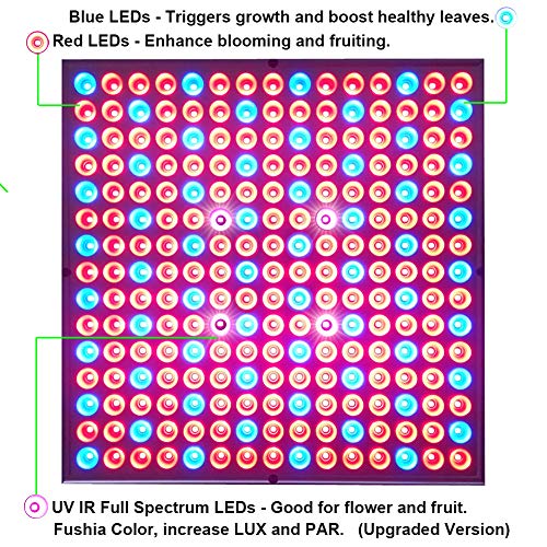 i-Venoya 75W LED Grow Light for Indoor Plants Growing Lamp 225 LEDs UV IR Red Blue Full Spectrum Plant Lights Bulb Panel for Hydroponics Greenhouse Seedling Veg and Flower