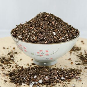 1 Quart Special Blend Organic Bonsai Tree Soil Mix with Coarse Sand, Pumice, Mycorrhizae - Small Grain
