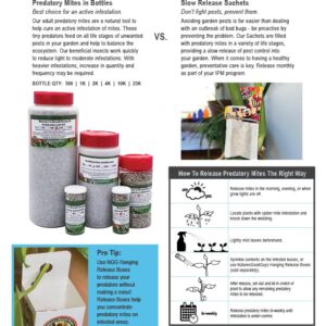 2,000 Live Adult Predatory Mites - Neoseiulus (Amblyseius) Californicus a Predatory Mite Specie for Spider Mite Control - Ships Next Business Day!l