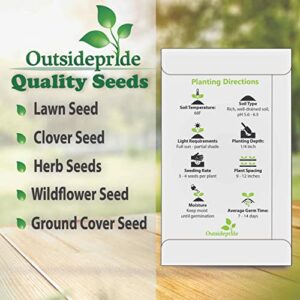 Outsidepride Garden Sorrel Culinary Herb Garden Plant for Soups & Salads - 5000 Seeds