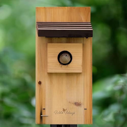 Wild Wings WWCH3 Cedar Blue Bird Box House