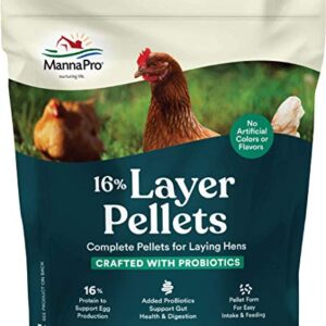 Manna Pro Chicken Feed | 16% Chicken Food with Probiotic Pellets, Chicken Layer Feed | 8 Pounds