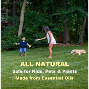 Tick & Mosquito Outdoor Plant Based Insect Control. Natural Spray Kills & Repels Harmful Bugs. Safe Insecticide Treatment for Kids, Pets, Plants – Applies Easy – Eco Innovations, EcoGuard Plus, 16 oz